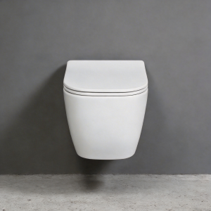 Wall-Hung Rimless Washdown D-shape Toilet