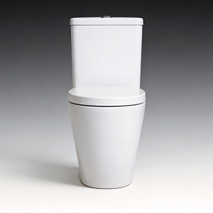 Two-piece rimless washdown back-to-wall D-shape toilet