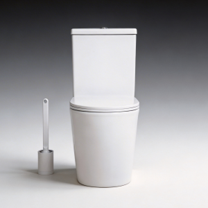 Two-piece rimless washdown back-to-wall D-shape toilet