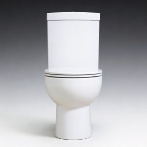 OEM Back-To-Wall Toilet Manufacturer | cUPC CE UKCA WaterMark Certified WC TAITAO-CT10819