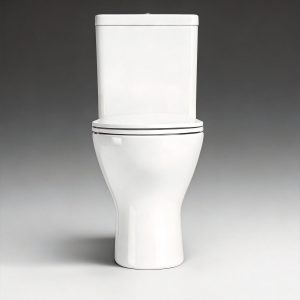 Wholesale Rimless Two-Piece Toilet Manufacturer | cUPC CE UKCA WaterMark Certified-TAITAO CT11850