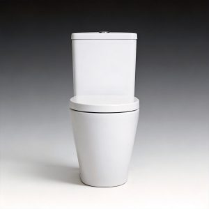 Wholesale two-piece rimless washdown back-to-wall D-shape toilet | cUPC CE UKCA WaterMark Certified WC Manufacturer TAITAO-CT10506C
